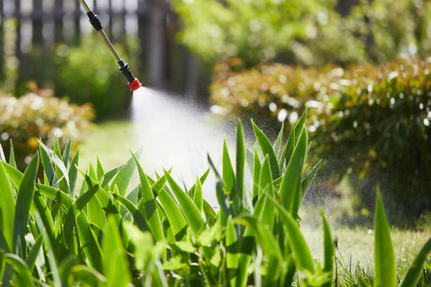 24/7 Emergency Fumigation Services experts in Toppenish, WA