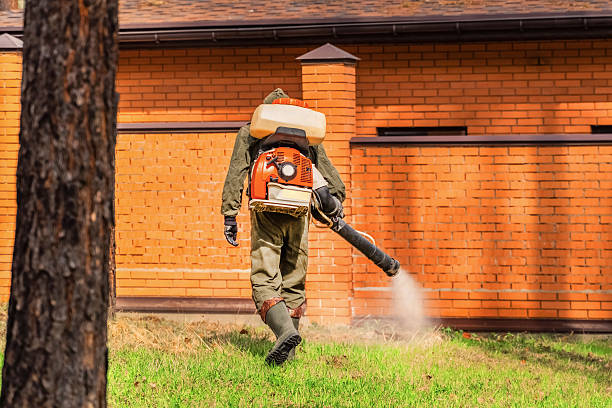 Trusted Cockroach Control service in Toppenish, WA - Nex Pest Control